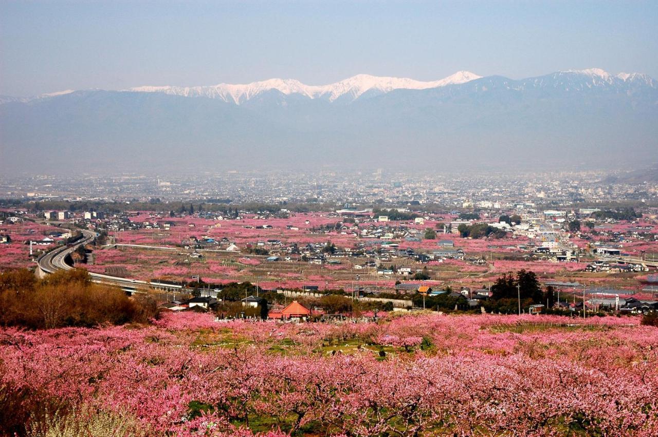 Hotel Fuji Yamanashi  Ngoại thất bức ảnh